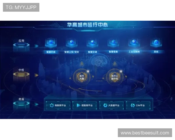 星空电子入口助力智慧城市建设的全新路径