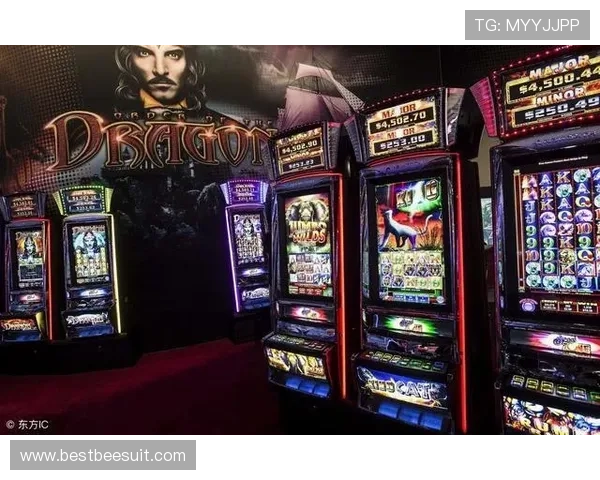 新皇冠体育下载：详细步骤帮助用户快速完成软件下载与安装流程