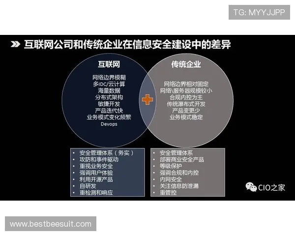 星空体育网站登录入口安全验证流程详解，保障用户账号信息安全
