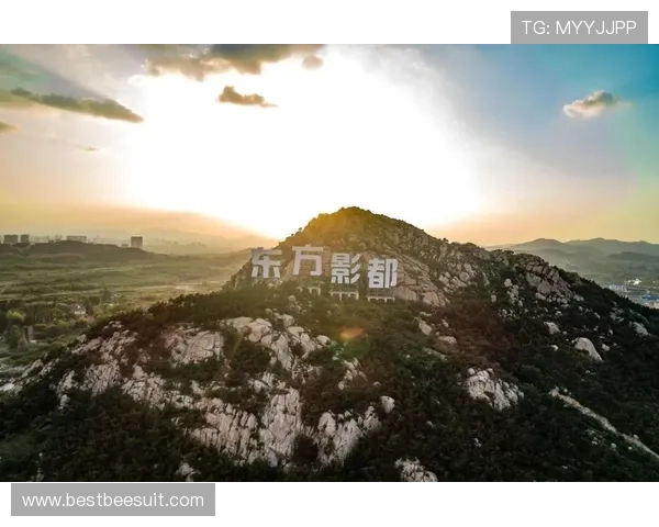 星空半导体育官网入口：详细解析官方入口的安全保障措施