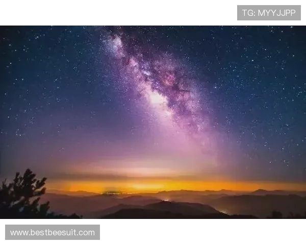 星空在线登录常见问题及解决方案分享帮助用户轻松应对登录中的各种挑战