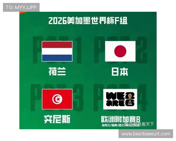 2026年世界杯突尼斯队与荷兰队伤病名单公布及对比赛的潜在影响分析